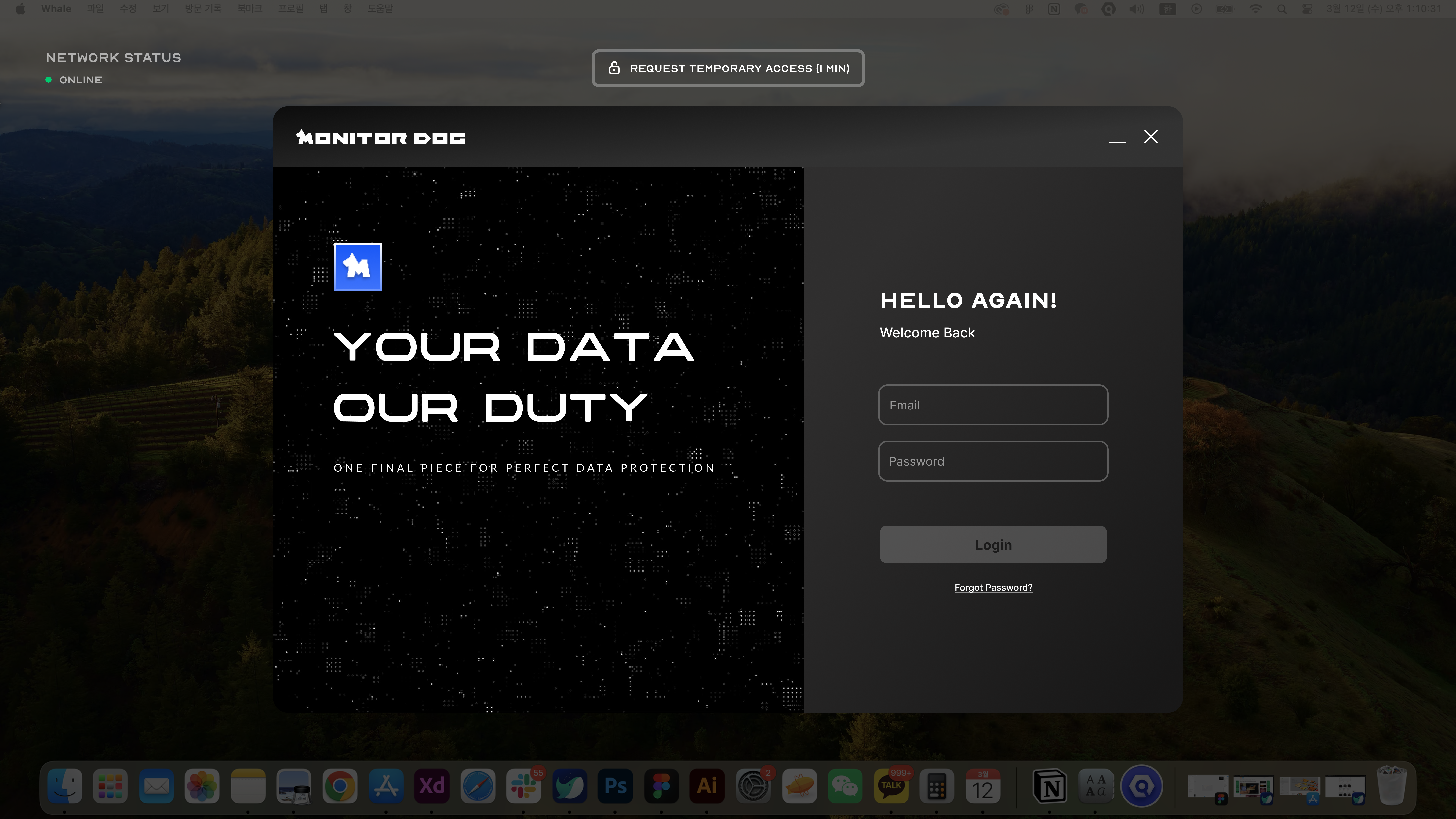임시 접근 윈도우